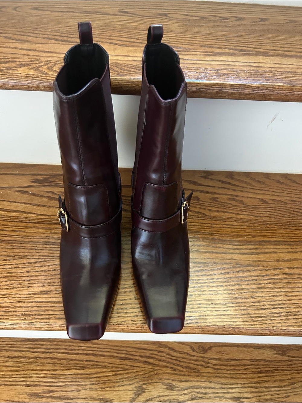 Sam Edelman Burgundy  Ankle Boots with Gold Buckle